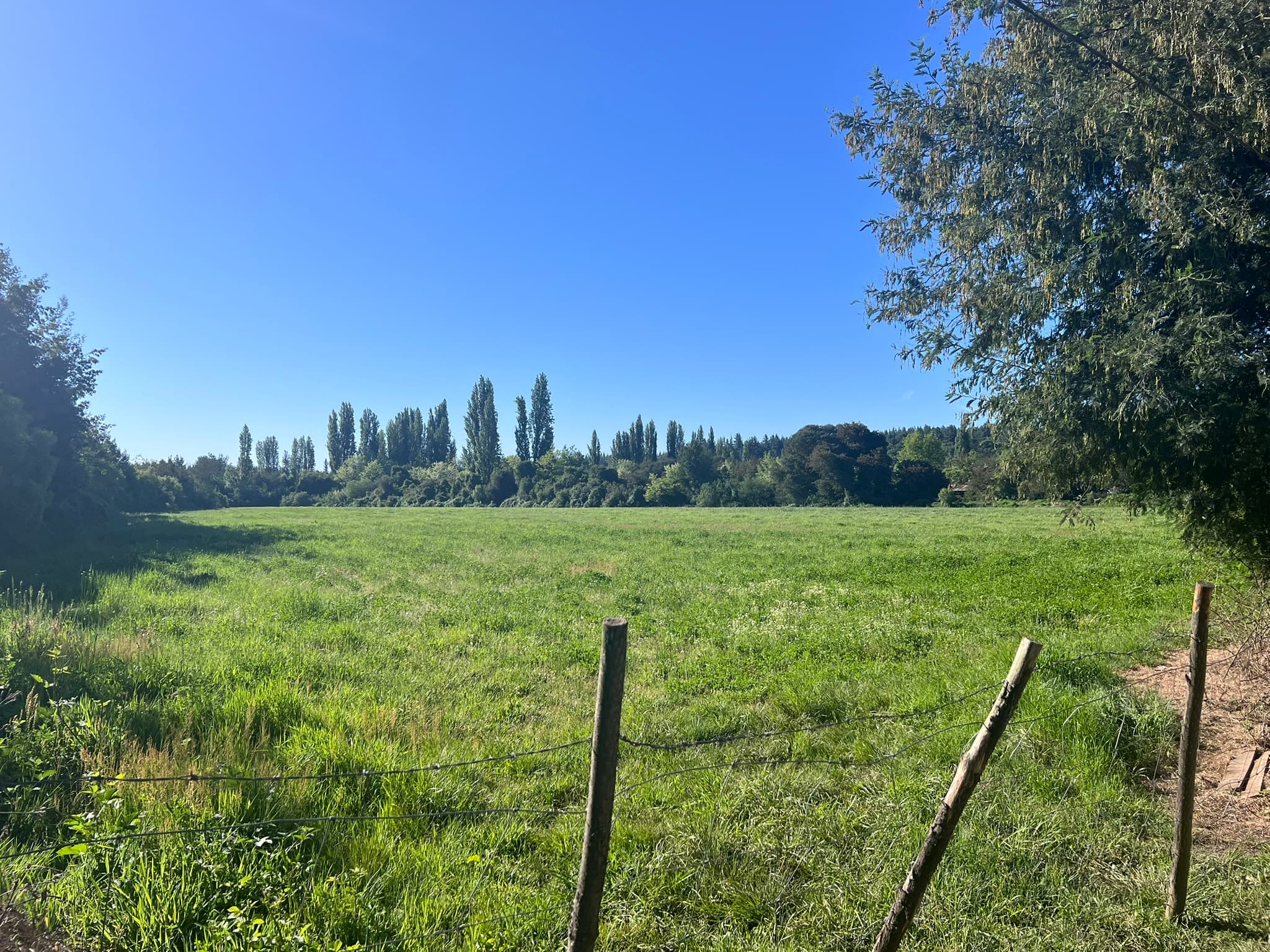 Vistas del predio Camping Trapiche San Manuel